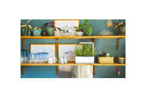 Home Gifts that Keep Giving