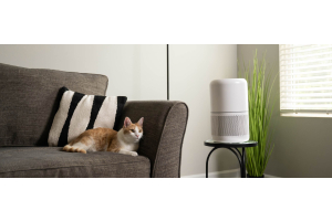 How to Choose the Best Air Purifier for Homes in Singapore