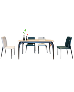YERED 1 + 4 DINING SET DT2006 (1+4)