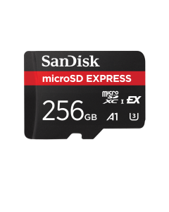 SANDISK EXPRESS CARD 256GB MICROSD SDSQXFN-256G-GN4NN