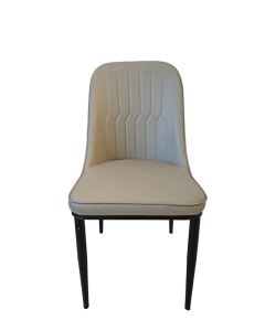 ZWL DINING CHAIR DCF18