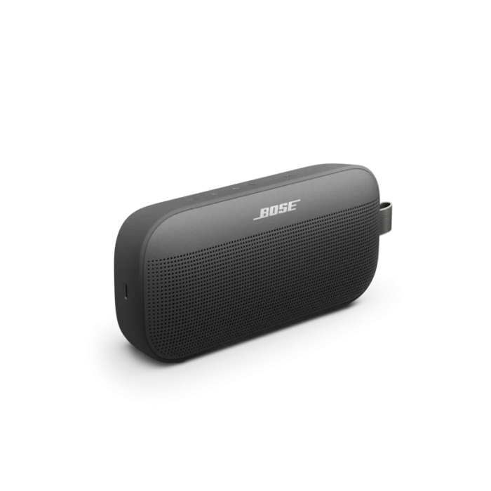 Soundlink Flex – Big Sound, IP67, 12-Hour Battery