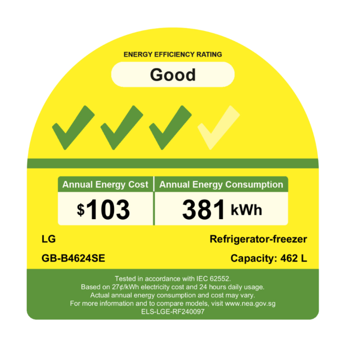 LG 2 Door Fridge - Smart Cooling, 462L Prime Silver