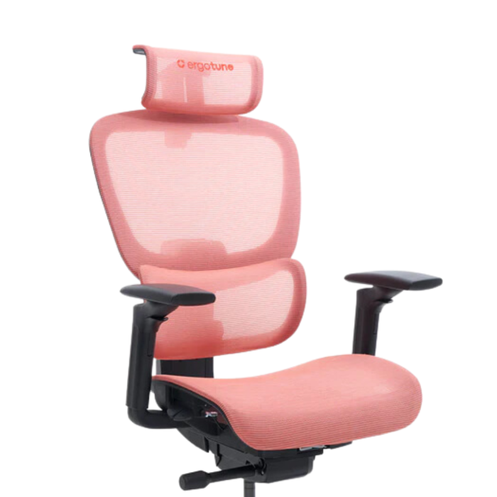 ERGOTUNE JOBBIE OFFICE CHAIR ERGO JOBBIE CORALRED CONFG Gain City Singapore