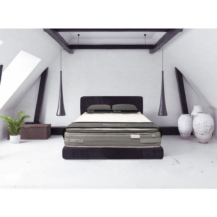 Sealy store prestige posture