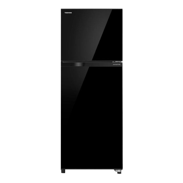 TOSHIBA 2 DOOR FRIDGE 250L 2 TICKS INVERTER