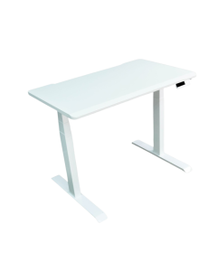 DUAL MOTOR STANDING DESK TBHL E-DESK-100 WHITE
