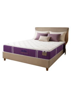 FOUR STAR MATTRESS +BEDFRAME CHIRO ECO - PKG W TYPE B/C BF - SS