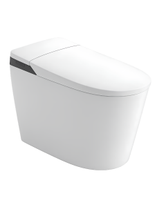 Aquatiz Floor Mounted Smart Toilet AQ171