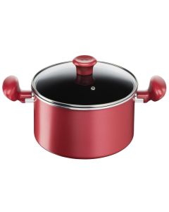 TEFAL STEWPOT 22CM W/LID G13545