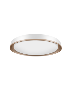 SUNSHINE TRI-TONE CEILING LIGHT CLU-T-24W