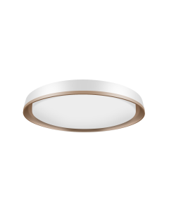 SUNSHINE TRI-TONE CEILING LIGH CLU-T-24W