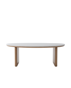 Beyla Coffee Table CT-Y83J32100