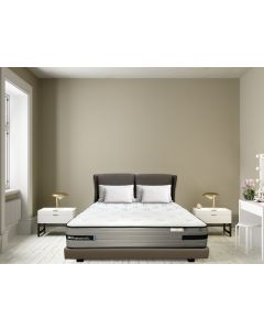 SEALY ELEVATE MATTRESS ALBANY - SS