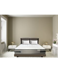 SEALY ELEVATE MATTRESS ALBANY - Q