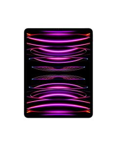 APPLE IPAD PRO 12.9 WF 6TH GEN MNXW3ZP/A