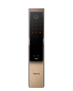 ZIGBANG DL SHP-P52 GOLD SHP-P52 GOLD