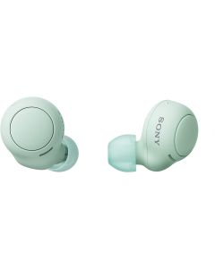 SONY WF-C500 EARBUDS WF-C500/GZE