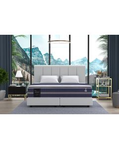 MAXCOIL MATTRESS DENICE - Q