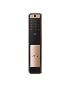 ZIGBANG DL SHP-P72 GOLD SHP-P72 GOLD