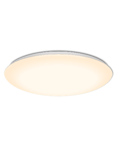 SUNSHINE MONOTONE CEILING LIGHT LCLK-18D