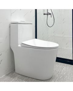 ZAFFIRO ONE-PIECE WATER CLOSET HS-ZFWC-9130-S6-S-TRAP-150MM