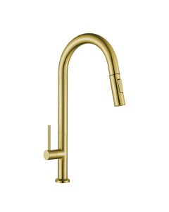 PULL-OUT SINK TAP SUS304 ZFR-PT-514SS(BG)