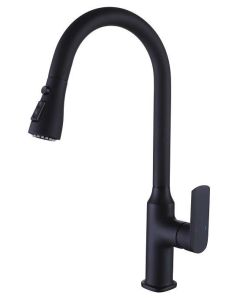 Rigel Kitchen Faucet Mixer W3-R-MXK722101P (BM)