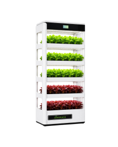 SINGRASS INDOOR FARM MACHINE SMART ECO SYSTEM GEN 2
