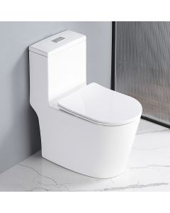 ZAFFIRO ONE PIECE WATER CLOSET PWC-9160-3