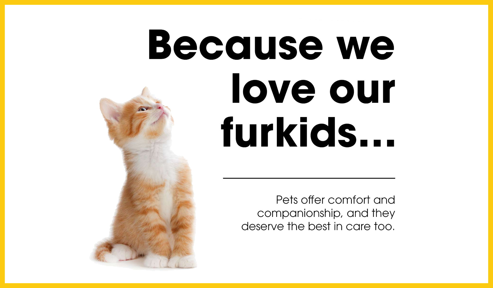 Because we love our furkids…