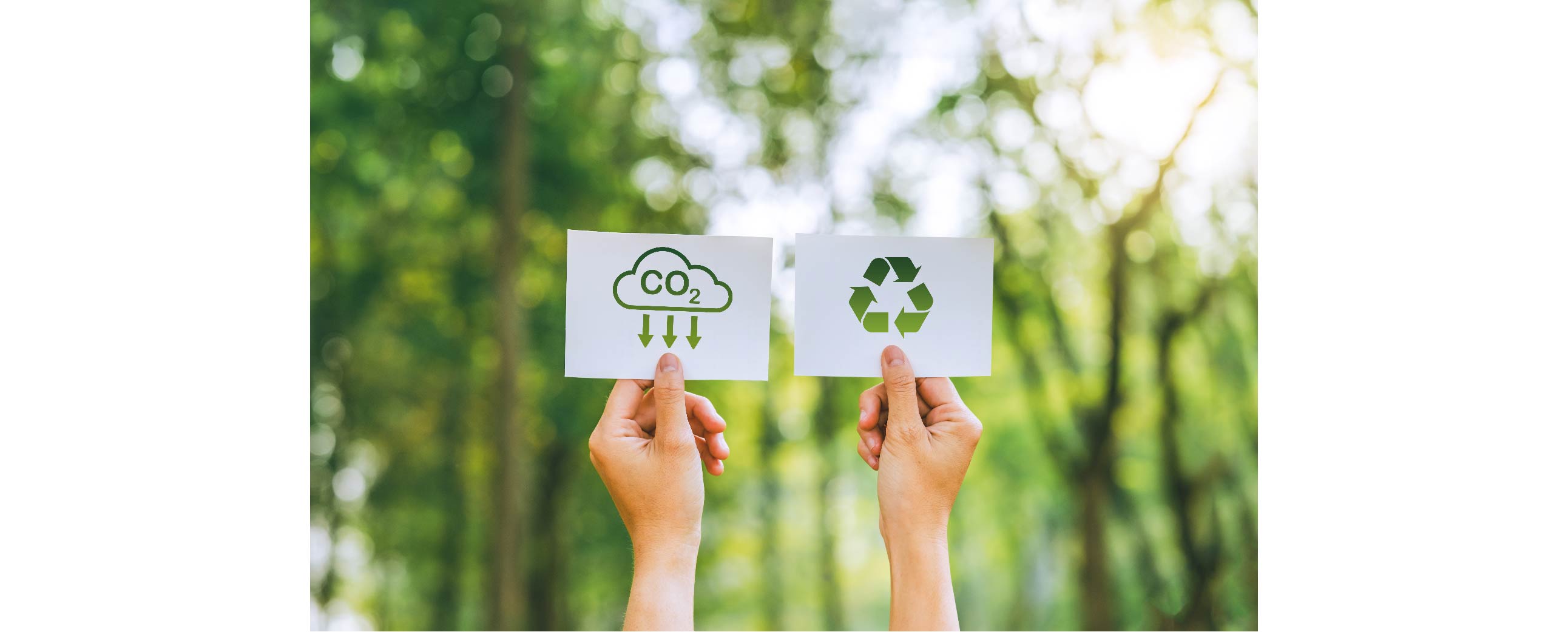 9 ways to live more responsibly 