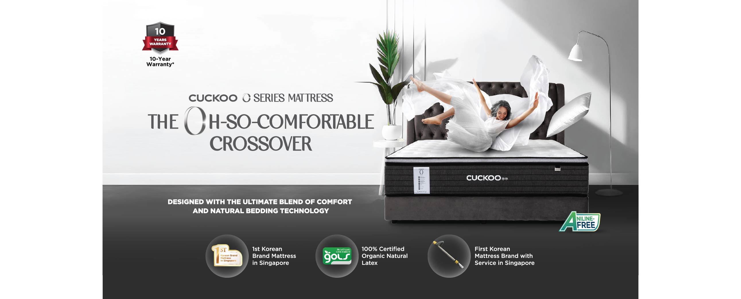 Sleep like a dream 