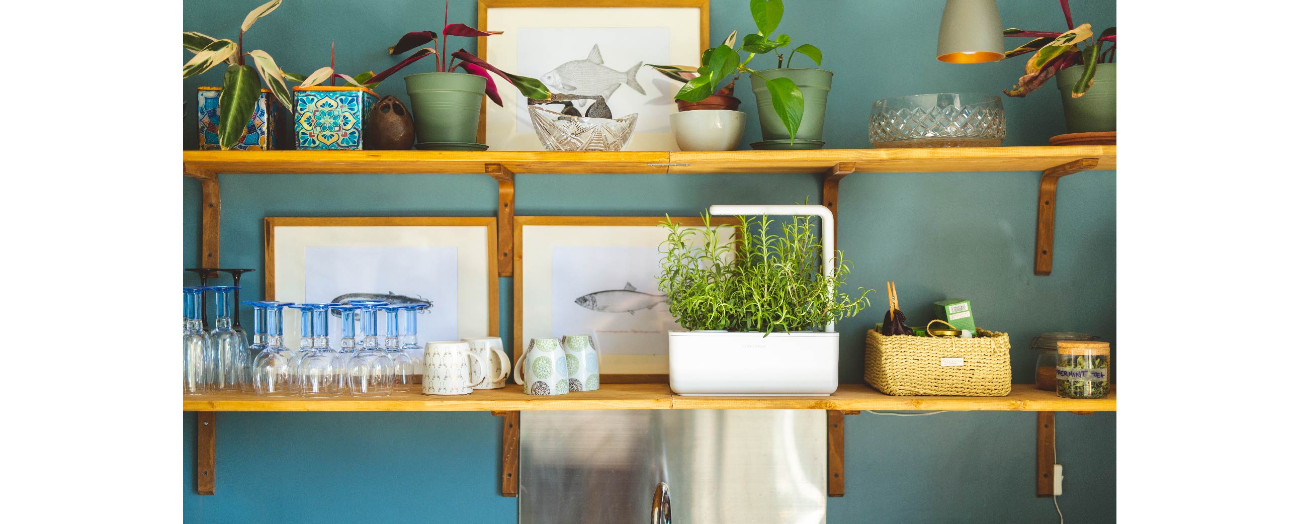 Home Gifts that Keep Giving