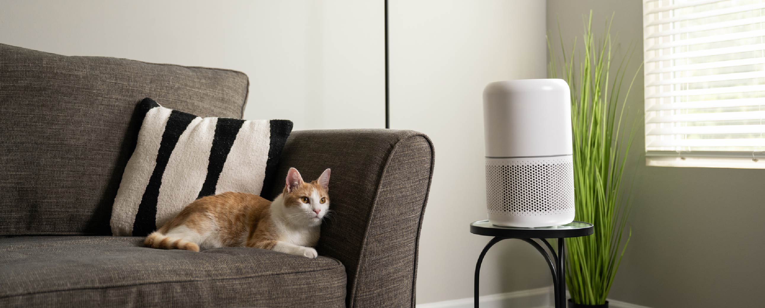 How to Choose the Best Air Purifier for Homes in Singapore