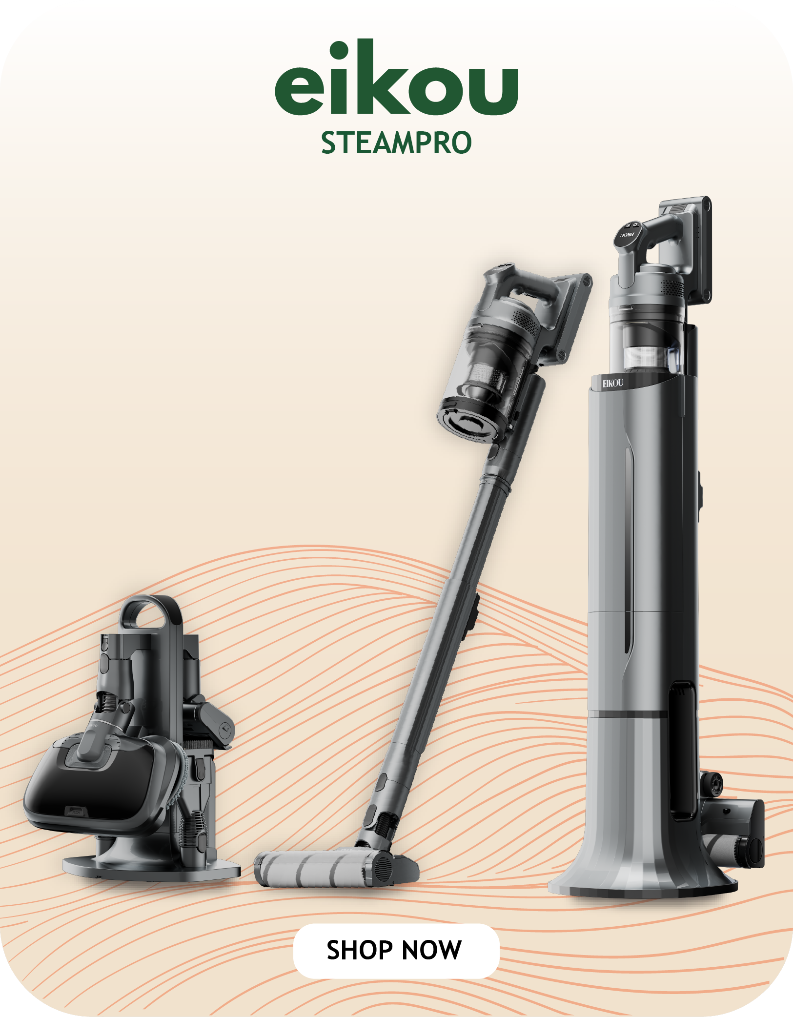 EIKOU STEAMPRO VACUUM 