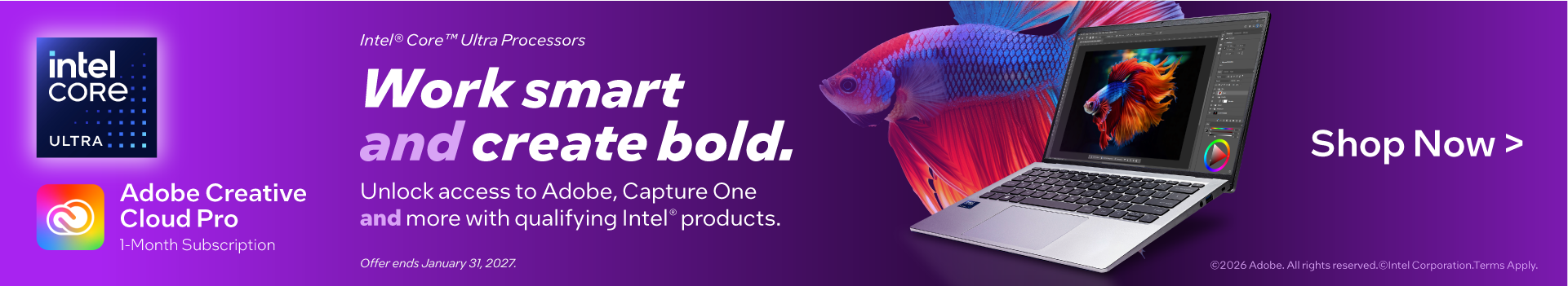 Intel PC 