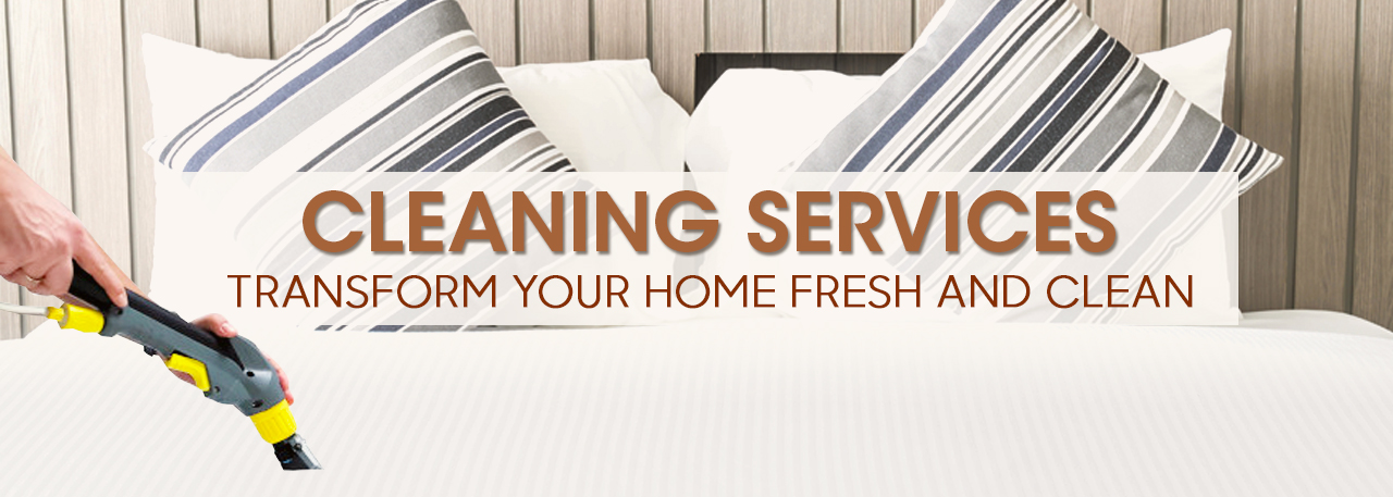 Mattress Cleaning Service